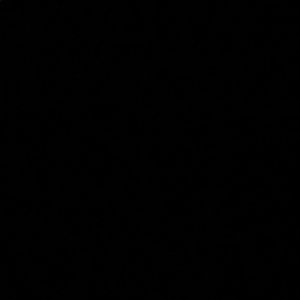 Meet your Posher, Paige